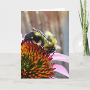 Carte L'abeille bourde