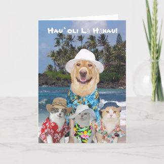 Carte Laboratoire Jaune hawaïen et Kitties sur mesure Bi