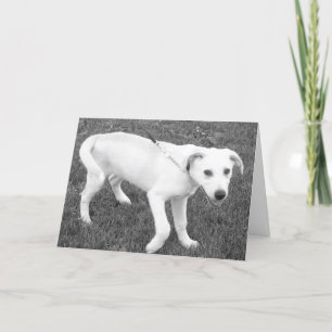 Carte Laboratoire Jaune Humour/Pensée de vous