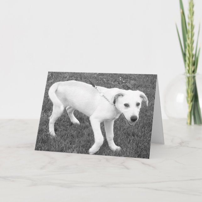 Carte Laboratoire Jaune Humour/Pensée de vous (Devant)