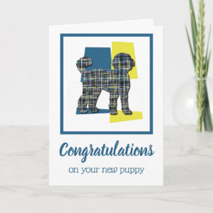 Carte Labradoodle Chien Chien Chien Félicitations Saluta