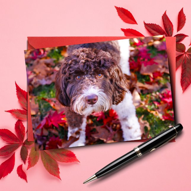 Carte Labradoodle En Automne (Send autumn cheer with Duke the Labradoodle note card.)