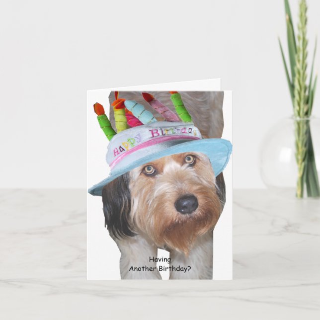 Carte Labradoodle en Casquette d'anniversaire (Devant)