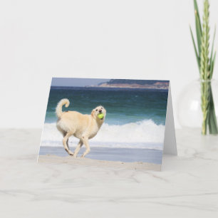 Carte Labradoodle - Joyeuse journée sur la plage