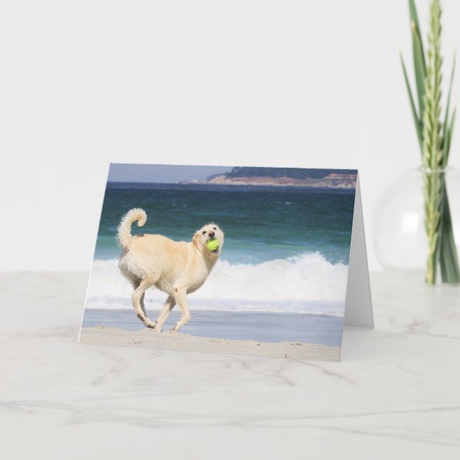 Carte Labradoodle - Joyeuse journée sur la plage (Devant)