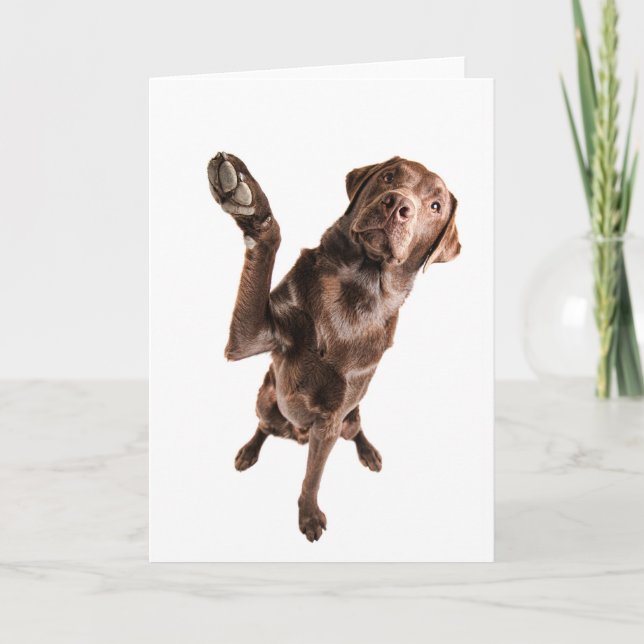 Carte Labrador avec Big High Five (Devant)