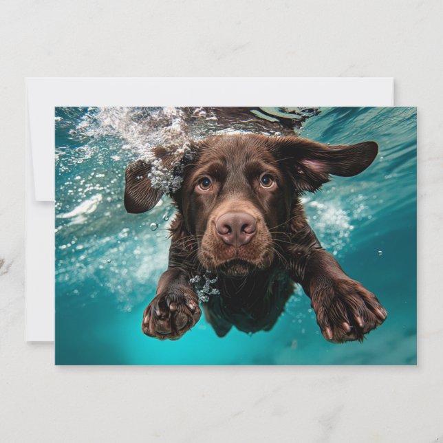 Carte Labrador chocolat joueur nageant sous l'eau (Devant)