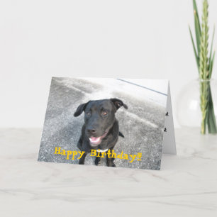 Carte Labrador noir heureux