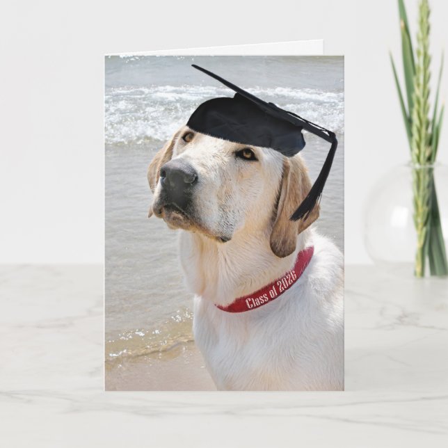 Carte Labrador Retriever 2026 avec chapeau de diplômé (Devant)