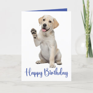 Carte Labrador Retriever Anniversaire Yellow Lab Chien c