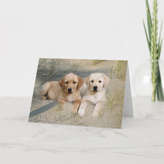Carte Labrador Retriever Card Pubs Sur La Plage (Devant)
