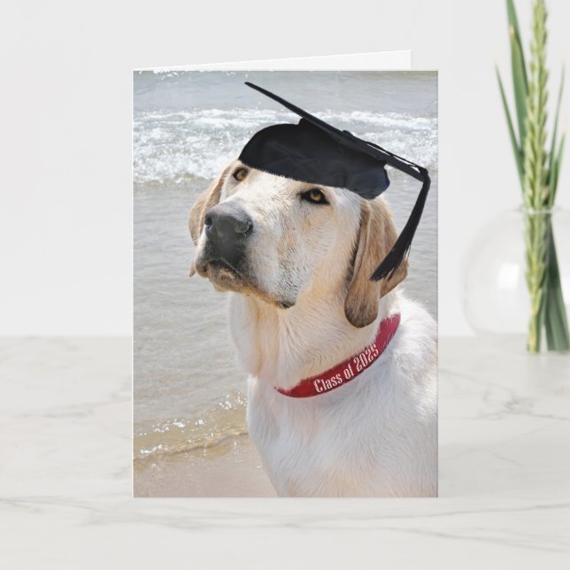 Carte Labrador Retriever Graduation 2025 (Devant)