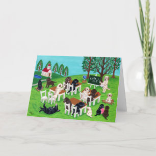 Carte Labrador School