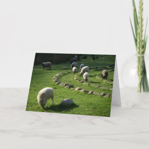 Carte Labyrinthe laineux : Le pâturage des moutons dans 
