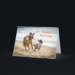 Carte Lac Birthday<br><div class="desc">Happy Birthday card featuring a photograph of a German Shepherd Dog Alsatian and a Cockerspaniel running happily along a beach together playing.  They are best friends having fun together playing with their ball.</div>