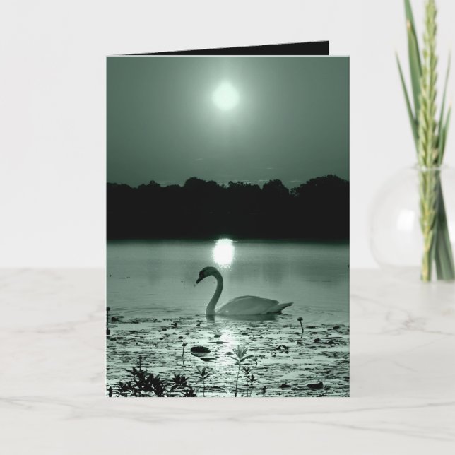 Carte Lac Swan (Devant)