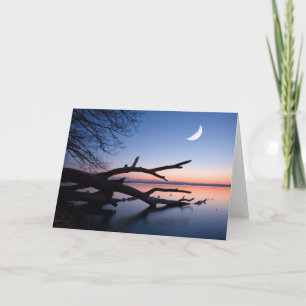 Carte Lac Tree at Starnberg   Bavaria Germany