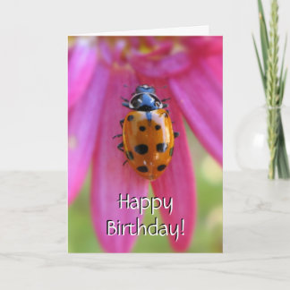 Carte Ladybug Birthday Card
