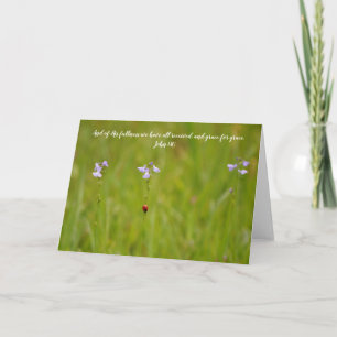 Carte Ladybug Grace Scripture Card John 1:16