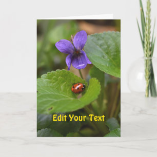 Carte Ladybug sur les fleurs de violet doux