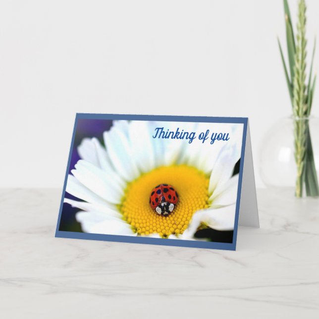 Carte Ladybug sur White Daisy (Devant)
