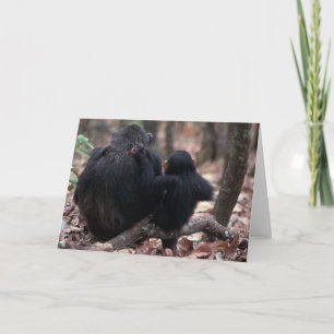 Carte L'Afrique, Afrique de l'Est, Tanzanie,