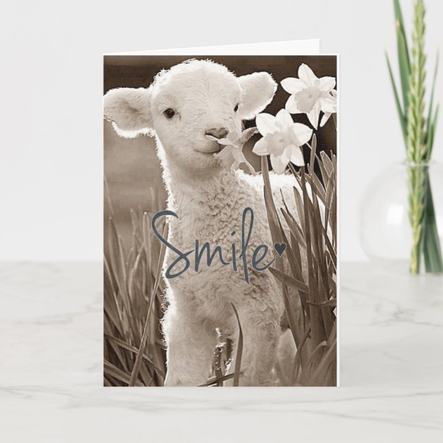 CARTE **L'AGNEAU BÉBÉ DOUX EST SI HEUREUX POUR VOUS** FÉ (Devant)