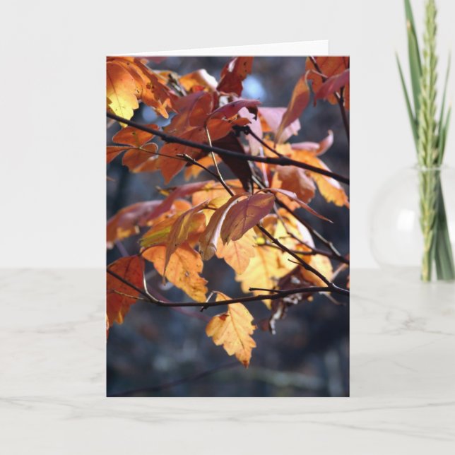 Carte Laissez La Lumière Briller (Devant)