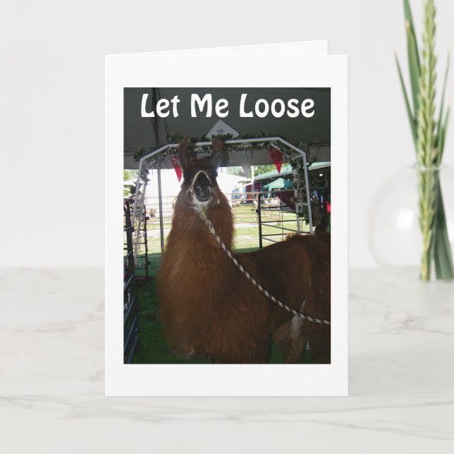 CARTE LAISSEZ-MOI PERDRE DE DIRE HEUREUX ANNIVERSAIRE (Devant)