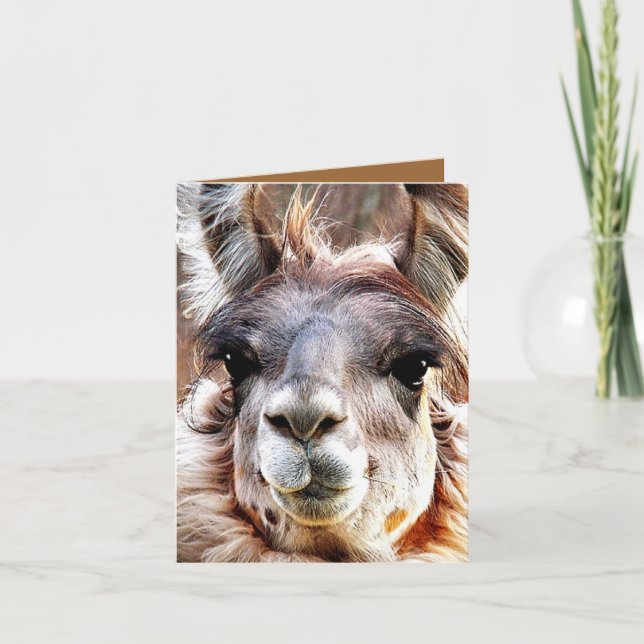 Carte Lama (Devant)
