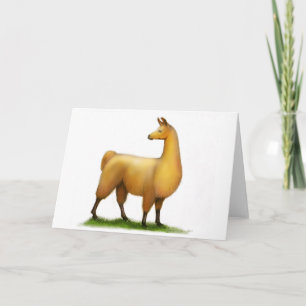 Carte Lama péruvien