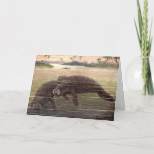 Carte Lamantins Vintage ou Vaches Marines, Mammifères Ma