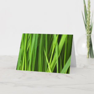 Carte Lames d'herbe