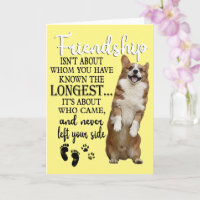 L'amitié avec un Corgi n'est pas liée à ceux que v