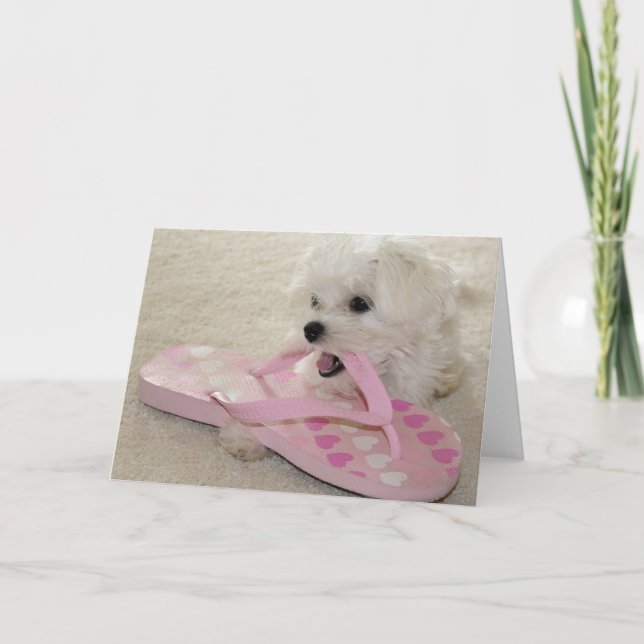 Carte L'amour des chaussures (Devant)