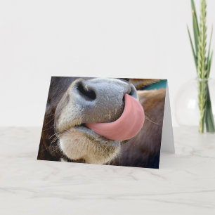 Carte Langue de vache