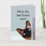 Carte L'anniversaire drôle d'ami souhaite le chat<br><div class="desc">Humour animal drôle de chat siamois de souhaits d'anniversaire d'ami vous.   Perfectionnez pour cet ami dans votre vie avec un sens de l'humour,  un amour des chats</div>