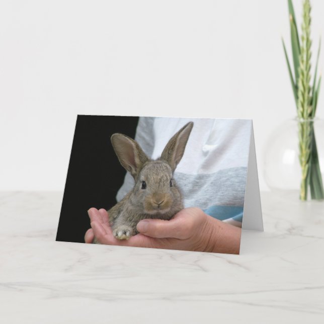 Carte lapin (Devant)