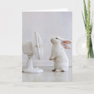 Carte Lapin à oreilles tombantes blanches d'anniversaire