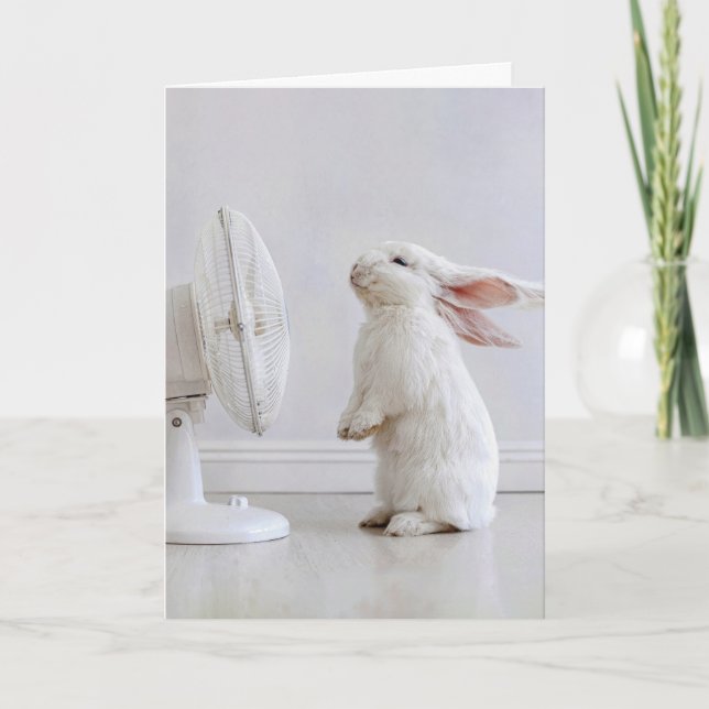 Carte Lapin à oreilles tombantes blanches d'anniversaire (Devant)