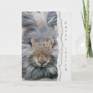 Carte lapin d'angora gris pour Pâques