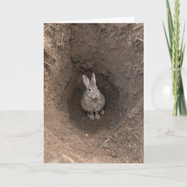 Carte Lapin d'anniversaire dans un trou de terre (Devant)