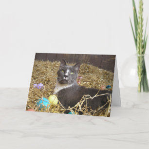 Carte Lapin de Pâques déguisé