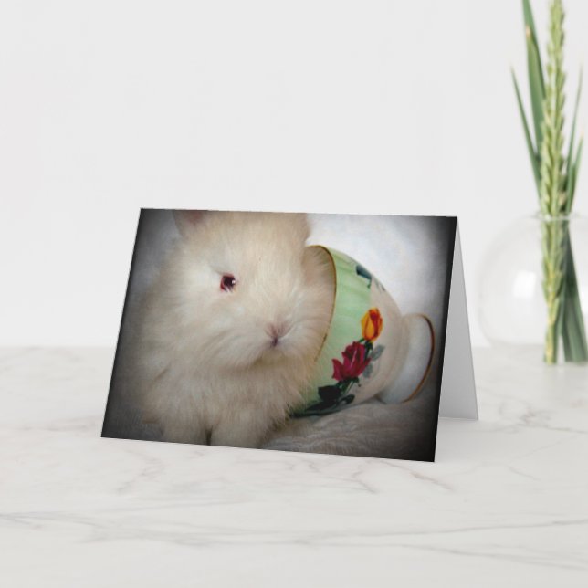 Carte Lapin de Pâques Toutes Occasions  (Devant)