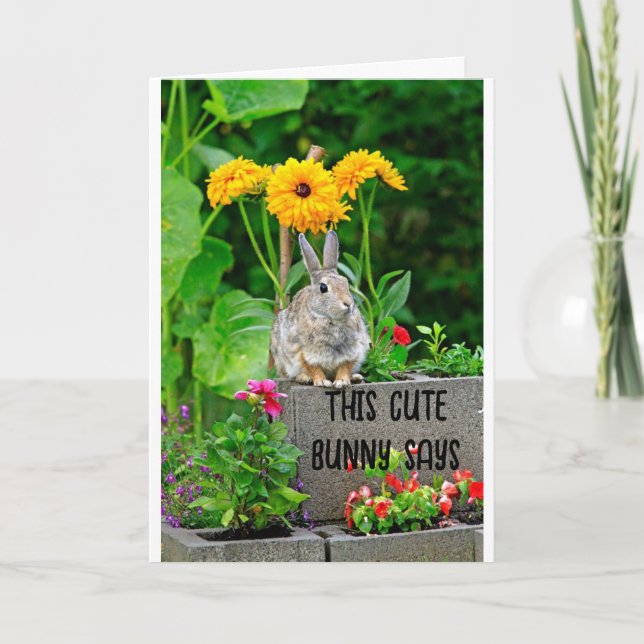 CARTE LAPIN DOUX POUR ANNIVERSAIRE **DE 16 ANS** (Devant)