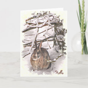 Carte Lapin Neige Lapin Rabbit Pensez à vous