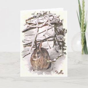 Carte Lapin Neige Rabbit Pensez à vous