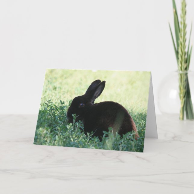 Carte Lapin noir de Lil (Devant)