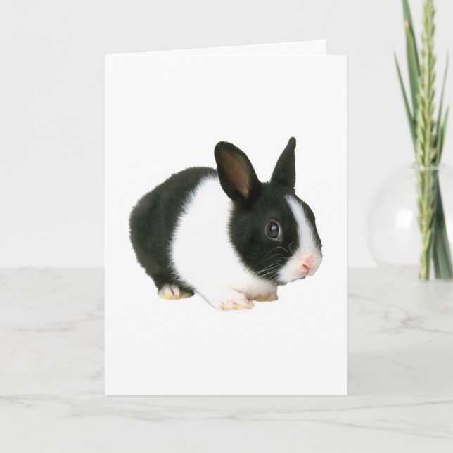 Carte Lapin noir et blanc (Devant)