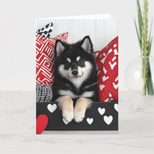 Carte Lapphund Valentine finlandaise
